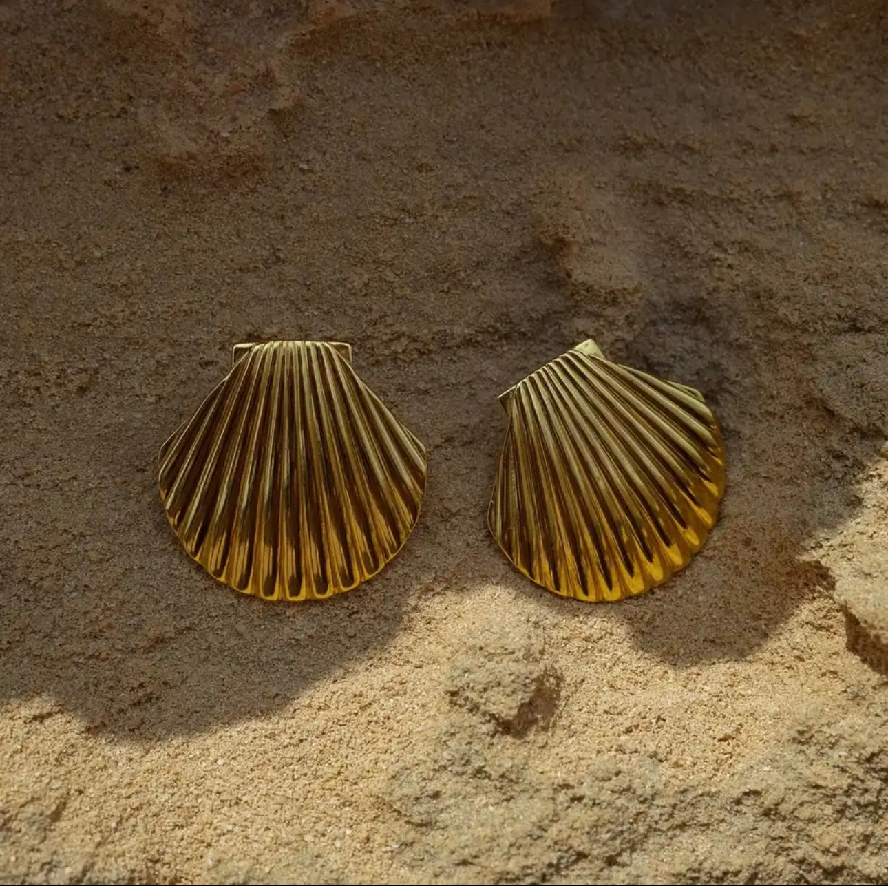 Shell earrings